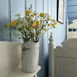 Historic Timber House From The 1800s In Nordfjord Olden